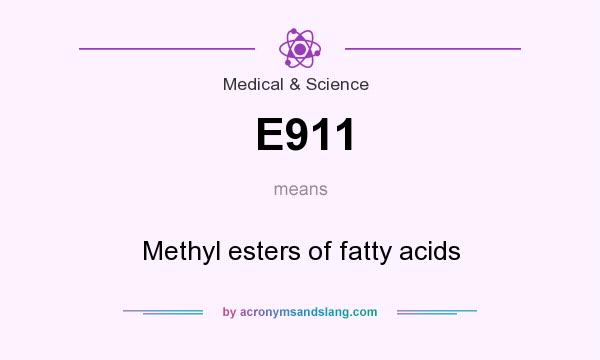 What does E911 mean? It stands for Methyl esters of fatty acids