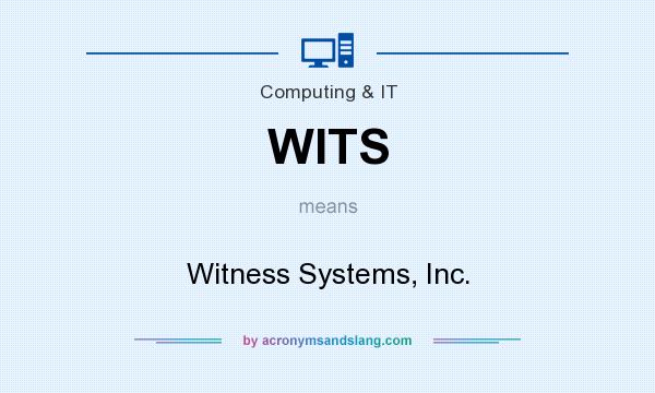 What does WITS mean? It stands for Witness Systems, Inc.