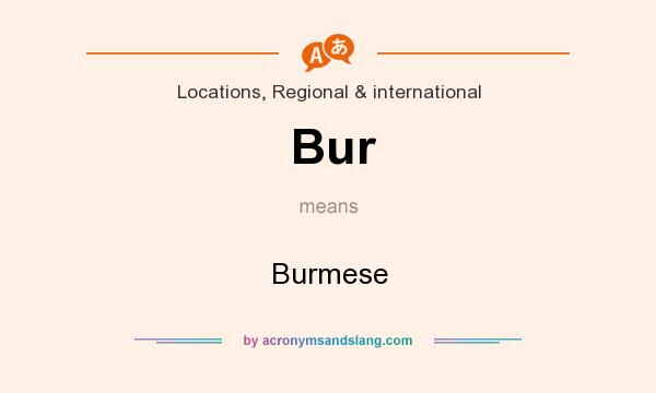 What does Bur mean? It stands for Burmese