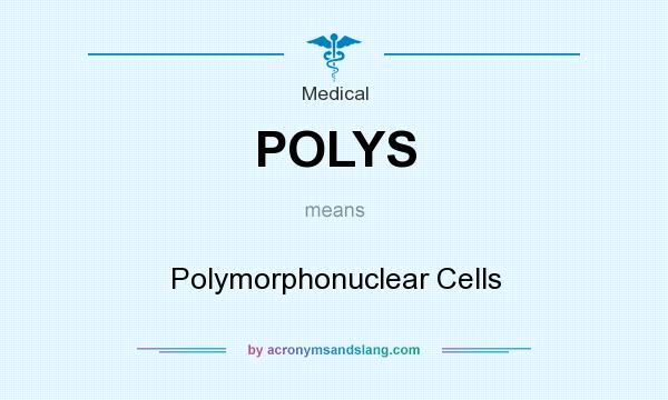 What does POLYS mean? It stands for Polymorphonuclear Cells