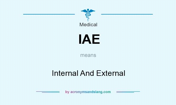 What does IAE mean? It stands for Internal And External