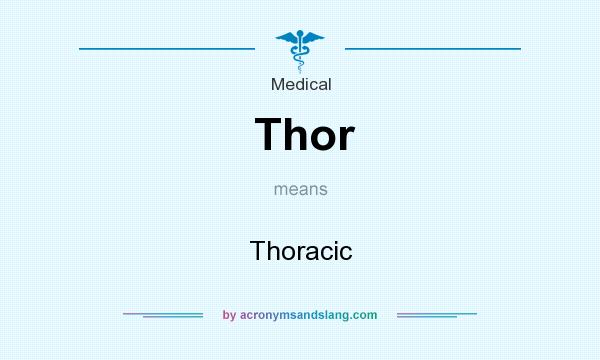 What does Thor mean? It stands for Thoracic
