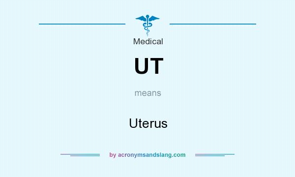 What does UT mean? It stands for Uterus