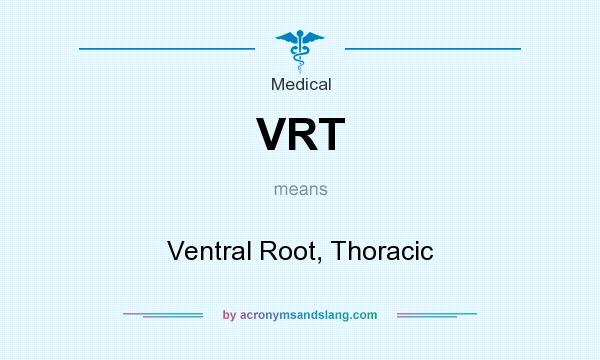What does VRT mean? It stands for Ventral Root, Thoracic