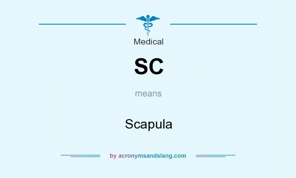 What does SC mean? It stands for Scapula