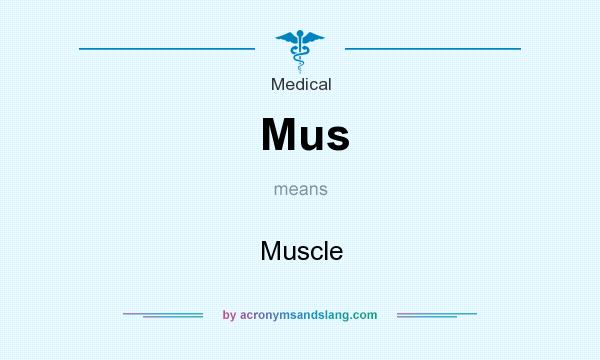 What does Mus mean? It stands for Muscle