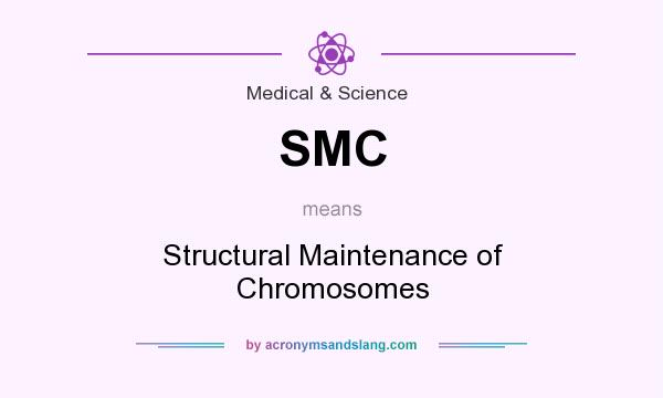 What does SMC mean? It stands for Structural Maintenance of Chromosomes