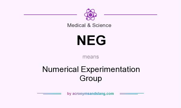 What does NEG mean? It stands for Numerical Experimentation Group