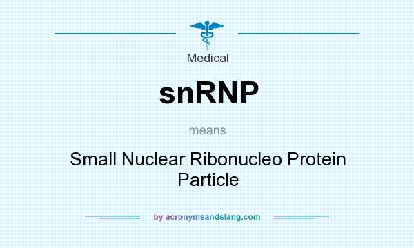 What does snRNP mean? It stands for Small Nuclear Ribonucleo Protein Particle