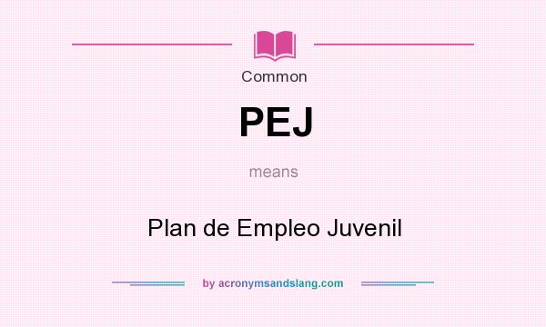What does PEJ mean? It stands for Plan de Empleo Juvenil