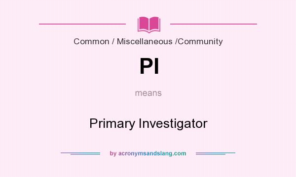 What does PI mean? It stands for Primary Investigator