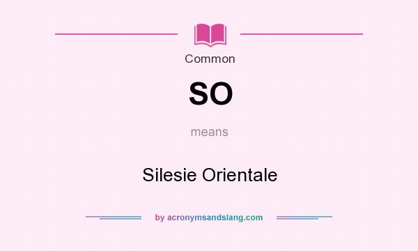 What does SO mean? It stands for Silesie Orientale