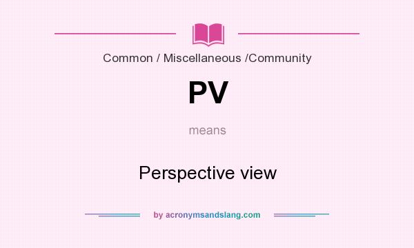 What does PV mean? It stands for Perspective view