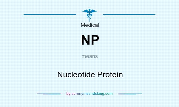 What does NP mean? It stands for Nucleotide Protein