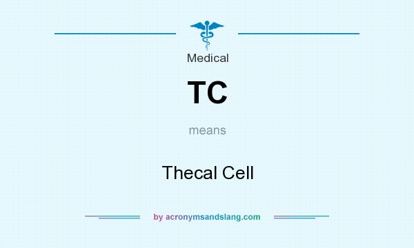What does TC mean? It stands for Thecal Cell