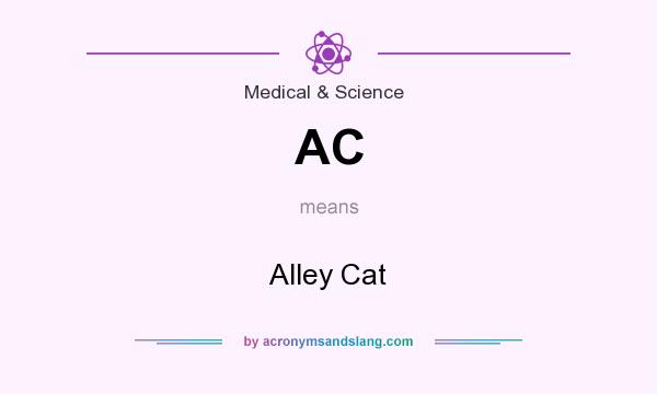 What does AC mean? It stands for Alley Cat