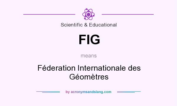 What does FIG mean? It stands for Féderation Internationale des Géomètres