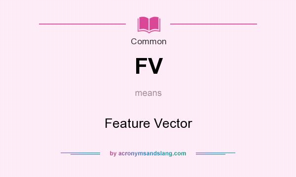 What does FV mean? It stands for Feature Vector