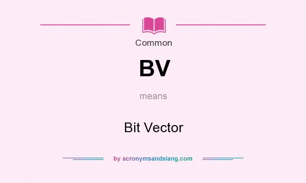 What does BV mean? It stands for Bit Vector