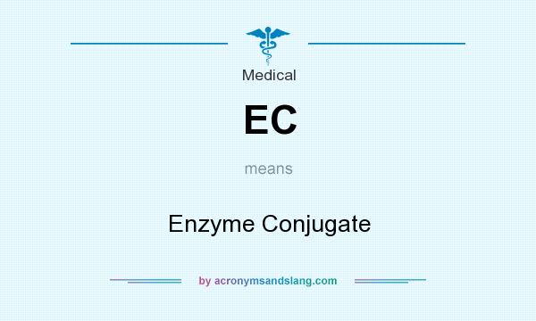What does EC mean? It stands for Enzyme Conjugate