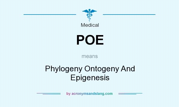What does POE mean? It stands for Phylogeny Ontogeny And Epigenesis