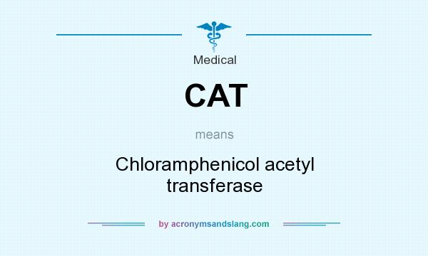 What does CAT mean? It stands for Chloramphenicol acetyl transferase
