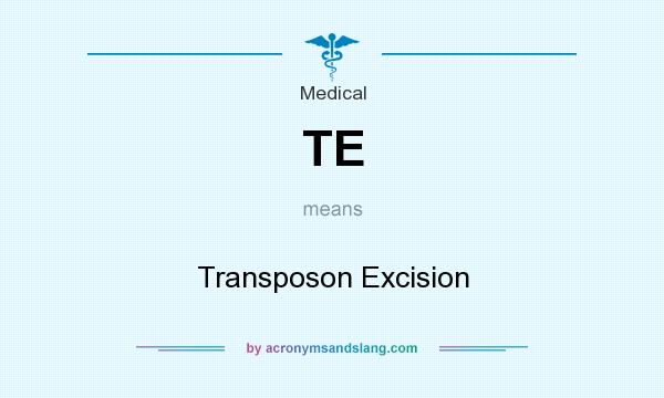 What does TE mean? It stands for Transposon Excision