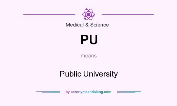 What does PU mean? It stands for Public University