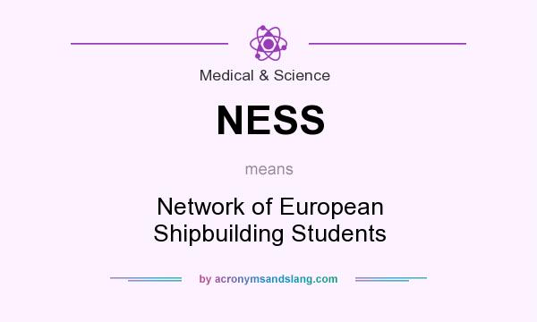 What does NESS mean? It stands for Network of European Shipbuilding Students