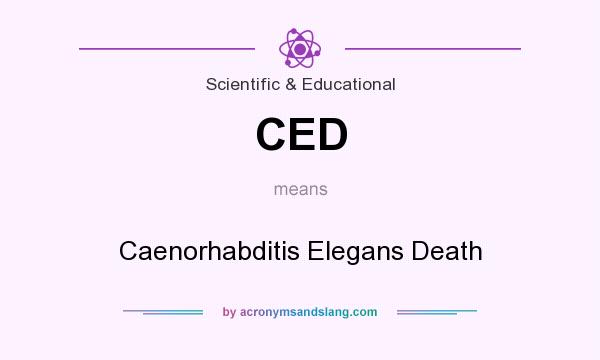 What does CED mean? It stands for Caenorhabditis Elegans Death