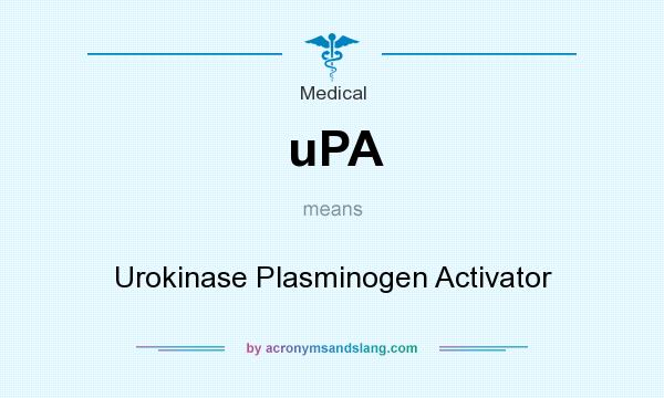 What does uPA mean? It stands for Urokinase Plasminogen Activator