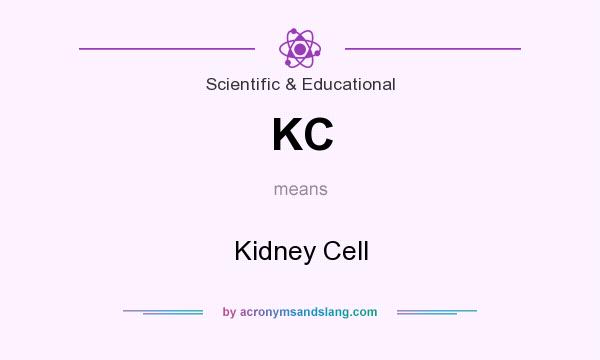 What does KC mean? It stands for Kidney Cell