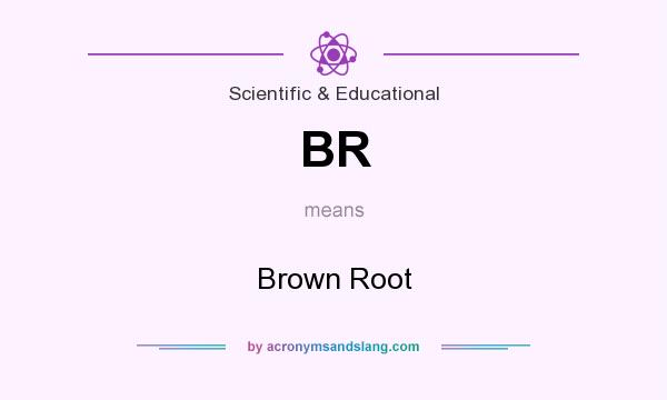 What does BR mean? It stands for Brown Root