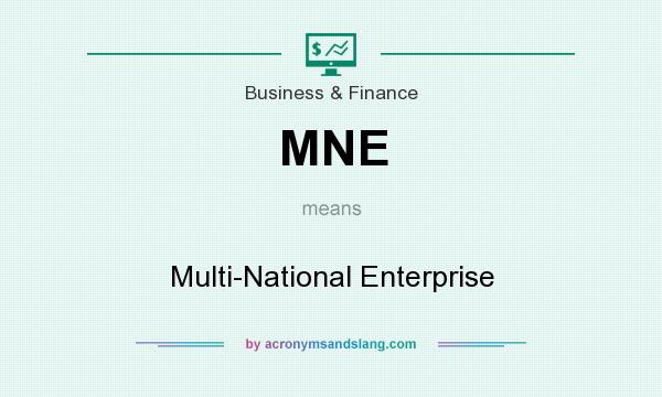 What does MNE mean? It stands for Multi-National Enterprise