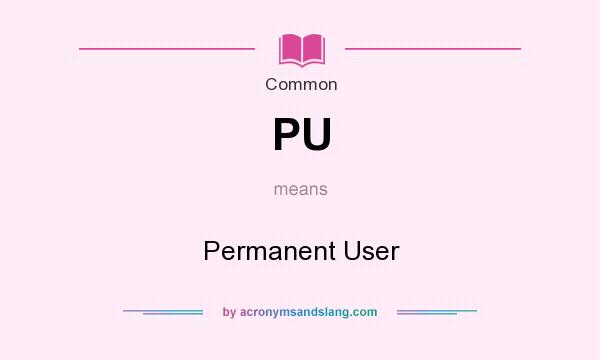 What does PU mean? It stands for Permanent User