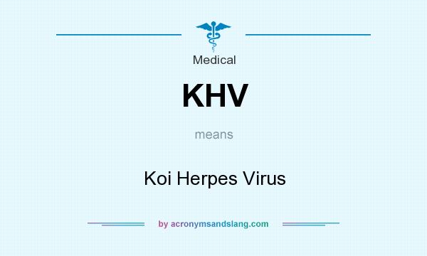 What does KHV mean? It stands for Koi Herpes Virus