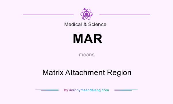 What does MAR mean? It stands for Matrix Attachment Region