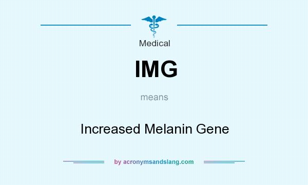 What does IMG mean? It stands for Increased Melanin Gene