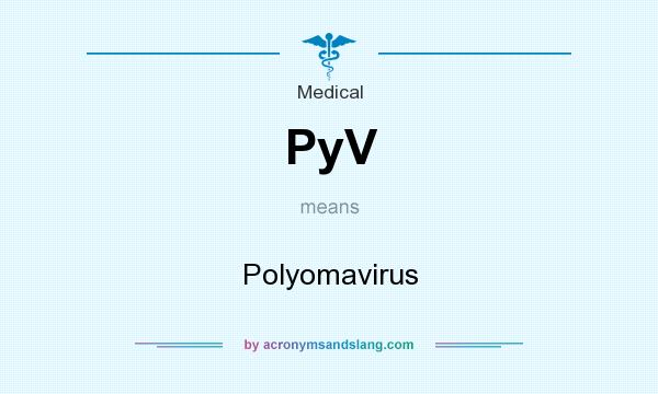 What does PyV mean? It stands for Polyomavirus