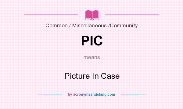 What does PIC mean? It stands for Picture In Case