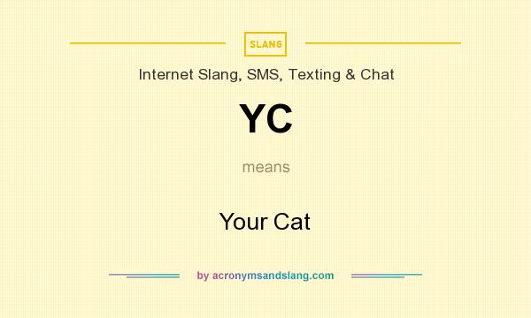 What does YC mean? It stands for Your Cat