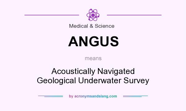 What does ANGUS mean? It stands for Acoustically Navigated Geological Underwater Survey