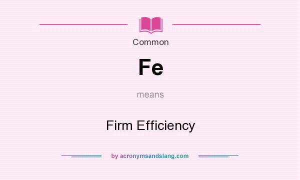 What does Fe mean? It stands for Firm Efficiency