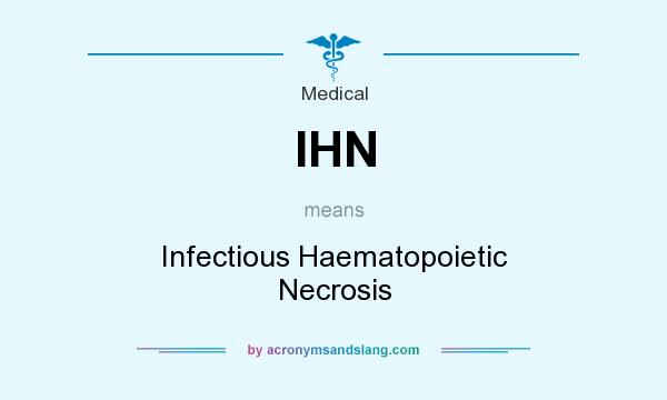 What does IHN mean? It stands for Infectious Haematopoietic Necrosis