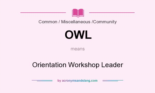 What does OWL mean? It stands for Orientation Workshop Leader