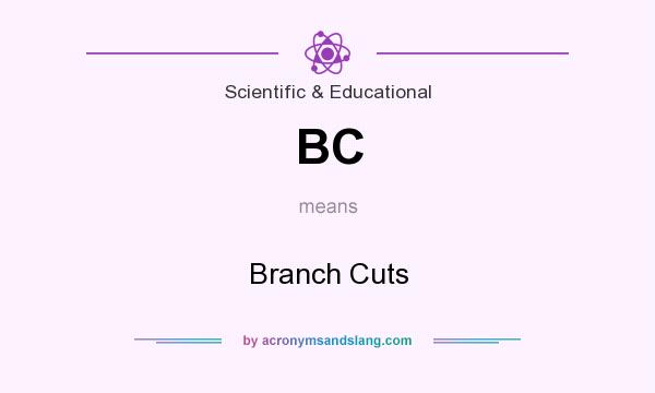 What does BC mean? It stands for Branch Cuts