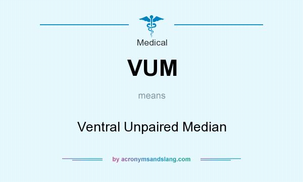 What does VUM mean? It stands for Ventral Unpaired Median