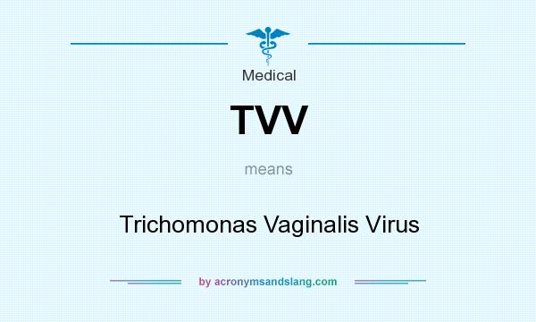 What does TVV mean? It stands for Trichomonas Vaginalis Virus
