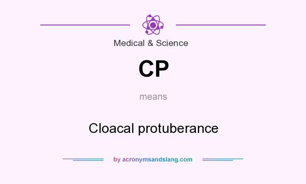 What does CP mean? It stands for Cloacal protuberance