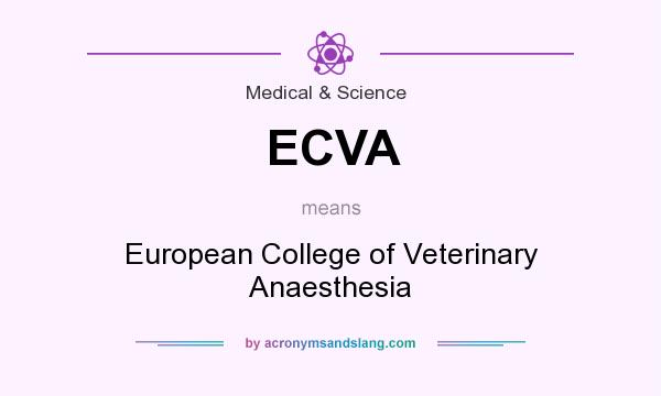 What does ECVA mean? It stands for European College of Veterinary Anaesthesia